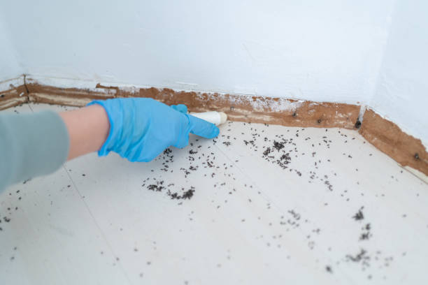 Best Residential Pest Control  in Akron, CO