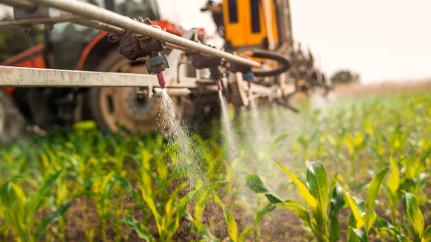 Professional Pest Control in Akron, CO